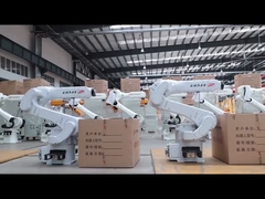 ER15-1400 Algemene industriële robots in de algemene industrie poleren